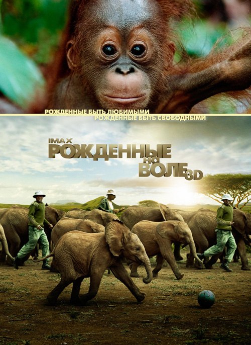 Рожденные на воле (2013)